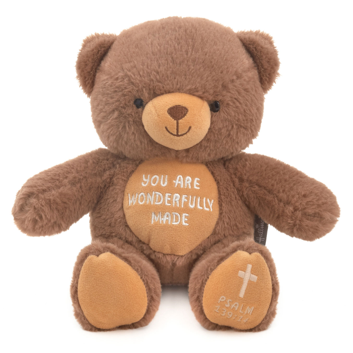 You Are Wonderfully Made Teddy Bear Plush, 8″