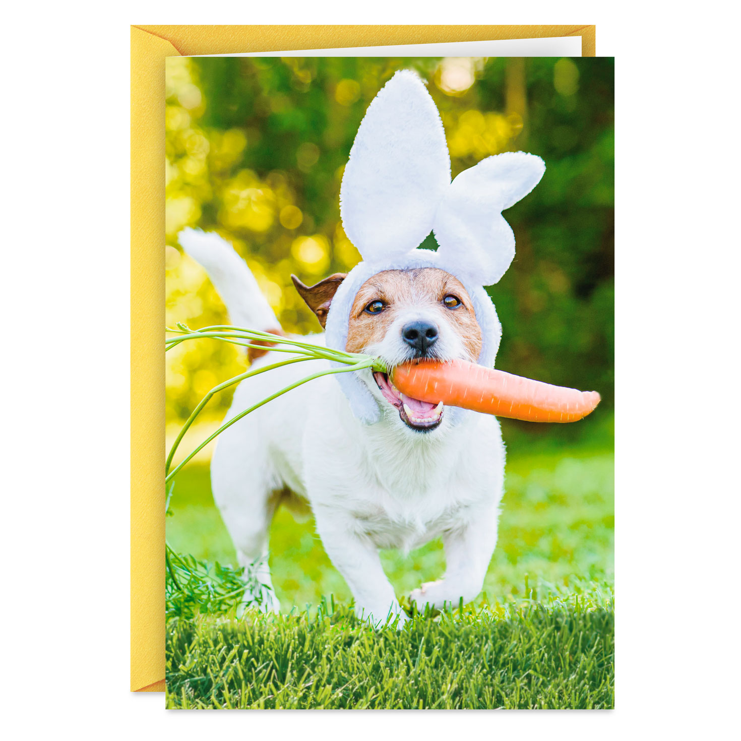 Fetch All the Fun You Can Funny Easter Card