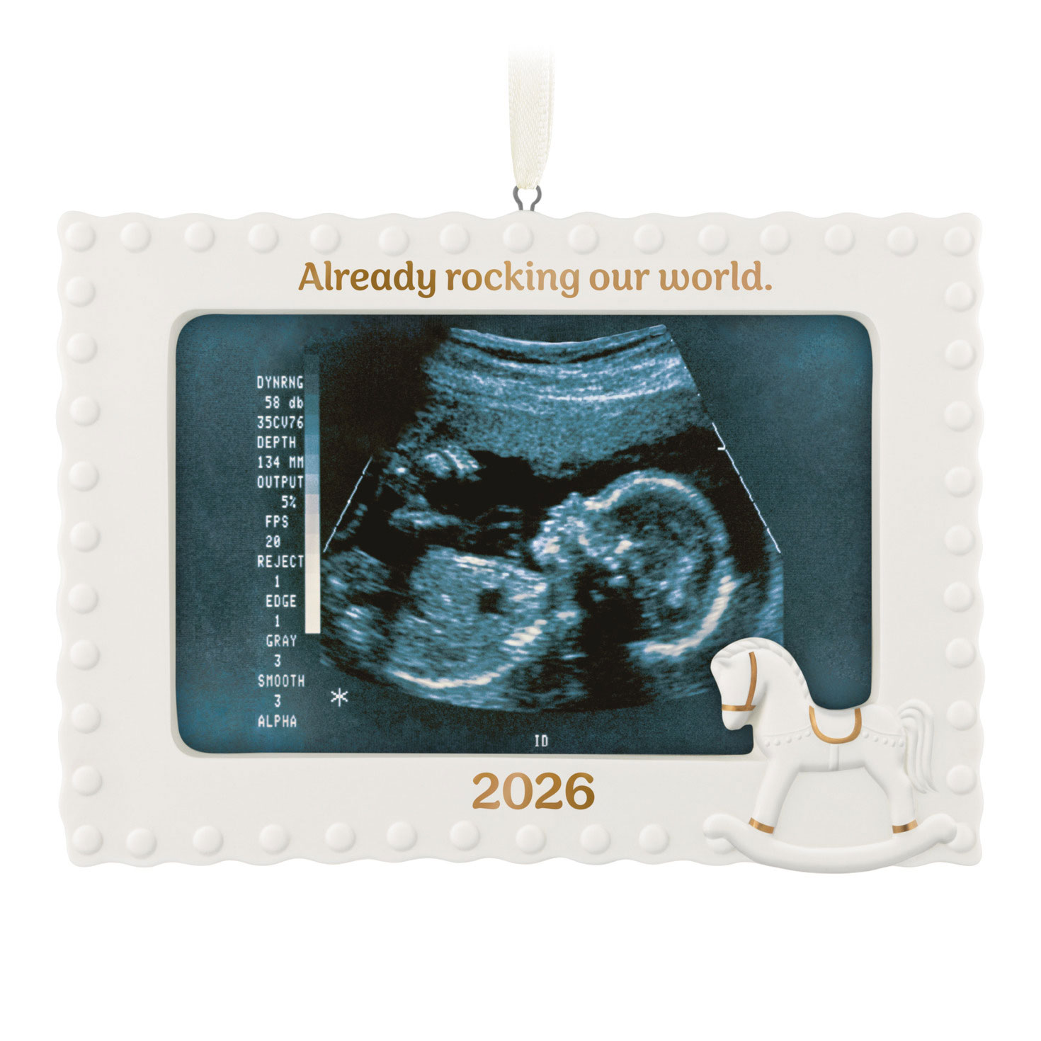 Already Rocking Our World 2026 Photo Frame Porcelain Ornament